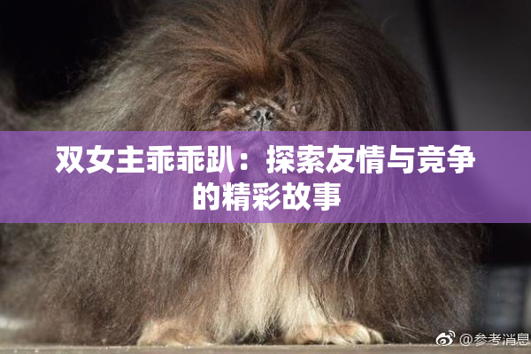 双女主乖乖趴：探索友情与竞争的精彩故事