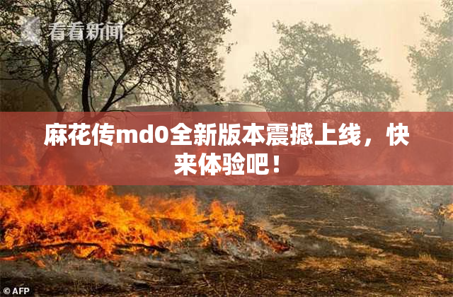 麻花传md0全新版本震撼上线，快来体验吧！