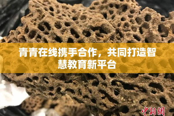 青青在线携手合作，共同打造智慧教育新平台