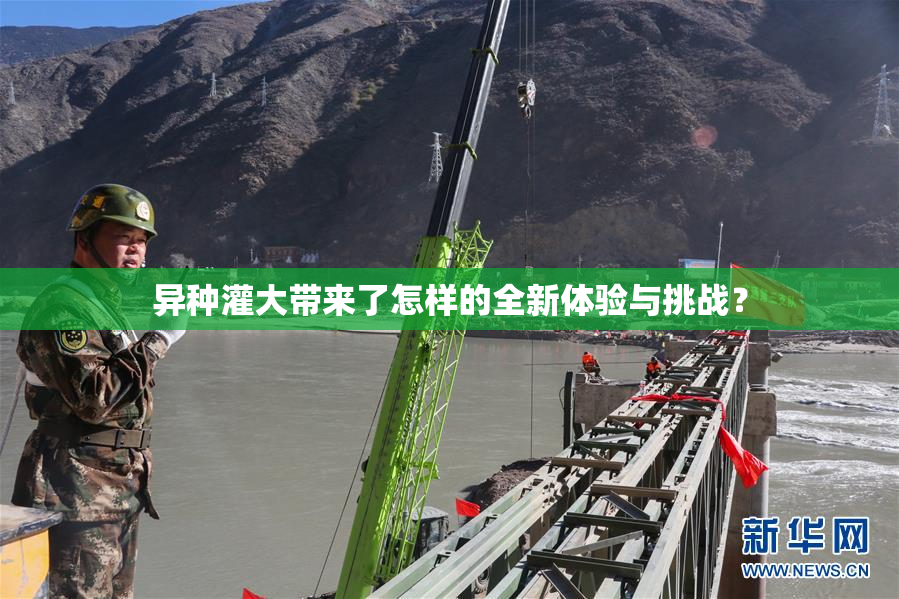 异种灌大带来了怎样的全新体验与挑战？