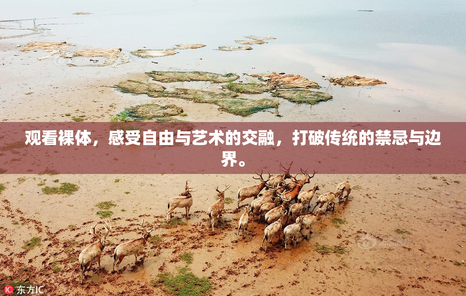 观看裸体，感受自由与艺术的交融，打破传统的禁忌与边界。