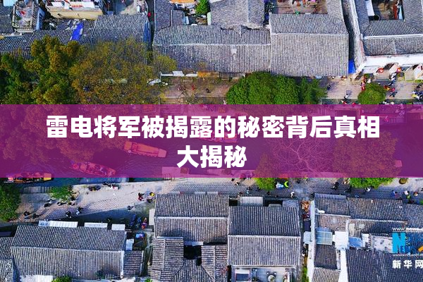 雷电将军被揭露的秘密背后真相大揭秘
