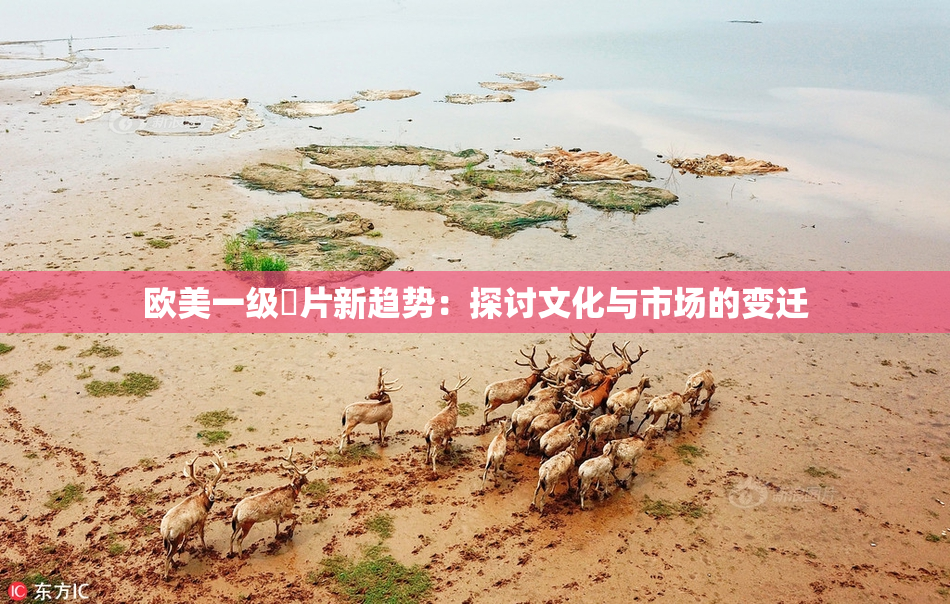 欧美一级婬片新趋势：探讨文化与市场的变迁