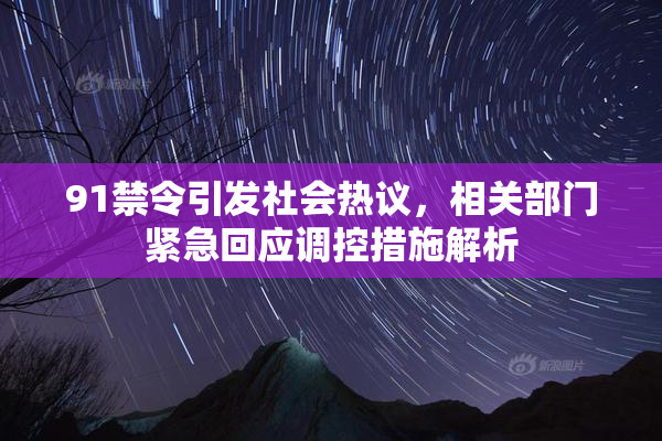 91禁令引发社会热议，相关部门紧急回应调控措施解析