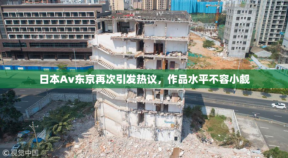 日本Av东京再次引发热议，作品水平不容小觑