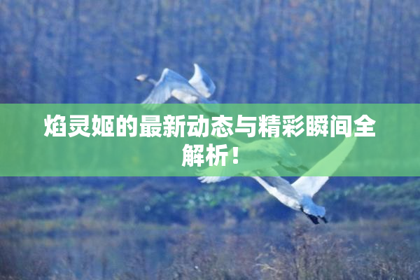 焰灵姬的最新动态与精彩瞬间全解析！