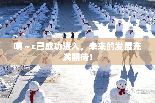啊～c已成功进入，未来的发展充满期待！