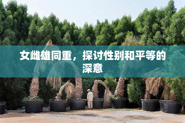 女雌雄同重，探讨性别和平等的深意