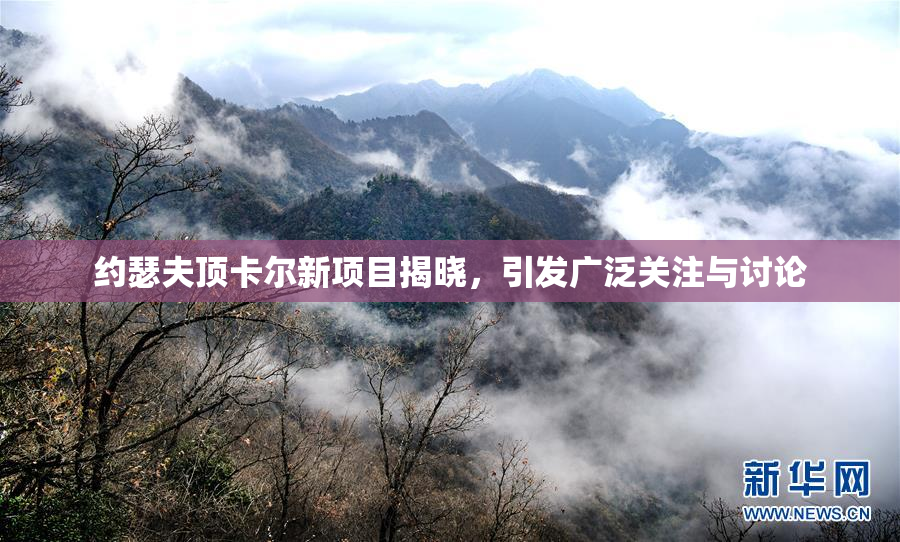 约瑟夫顶卡尔新项目揭晓，引发广泛关注与讨论
