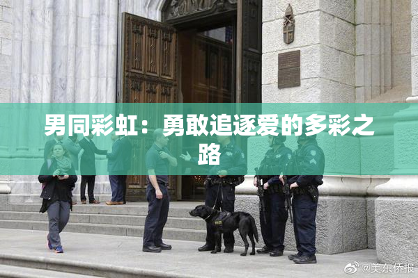 男同彩虹：勇敢追逐爱的多彩之路