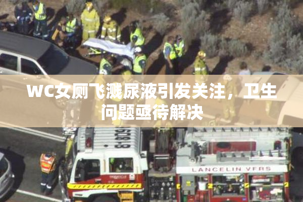 WC女厕飞溅尿液引发关注，卫生问题亟待解决
