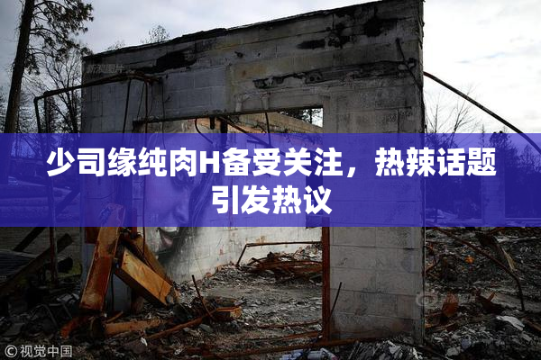 少司缘纯肉H备受关注，热辣话题引发热议