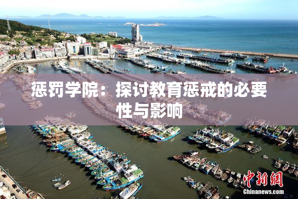 惩罚学院：探讨教育惩戒的必要性与影响