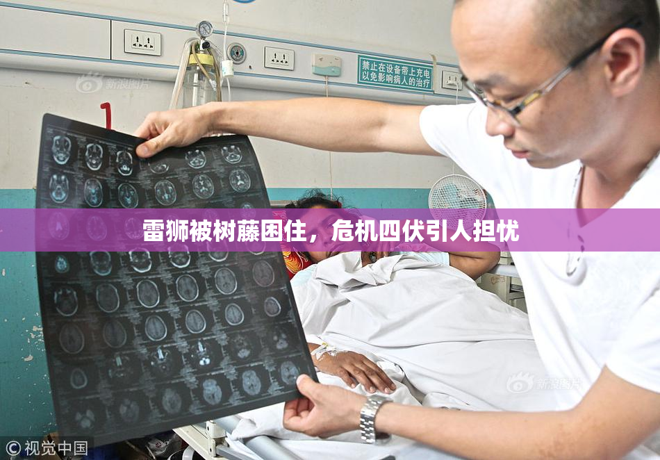 雷狮被树藤困住，危机四伏引人担忧