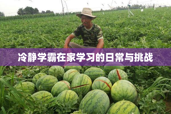 冷静学霸在家学习的日常与挑战