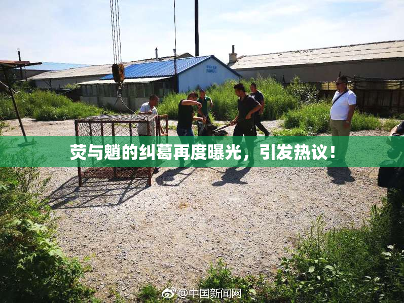 荧与魈的纠葛再度曝光，引发热议！