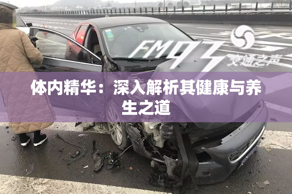 体内精华：深入解析其健康与养生之道