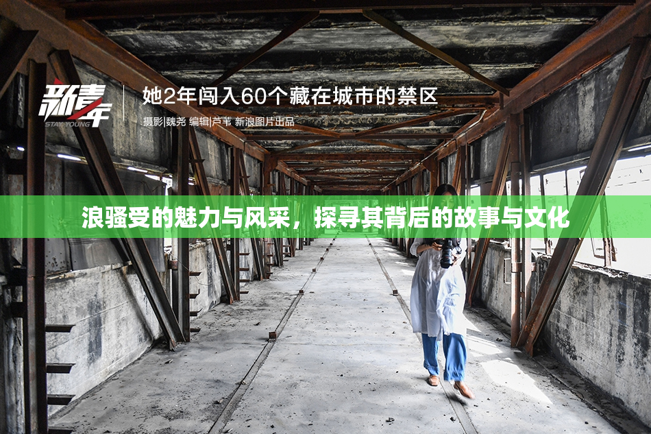浪骚受的魅力与风采，探寻其背后的故事与文化
