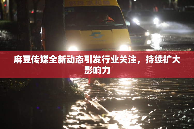 麻豆传媒全新动态引发行业关注，持续扩大影响力