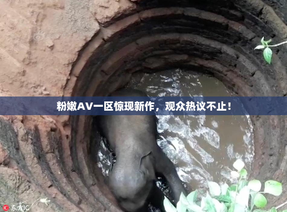 粉嫩AV一区惊现新作，观众热议不止！