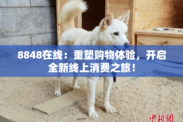 8848在线：重塑购物体验，开启全新线上消费之旅！