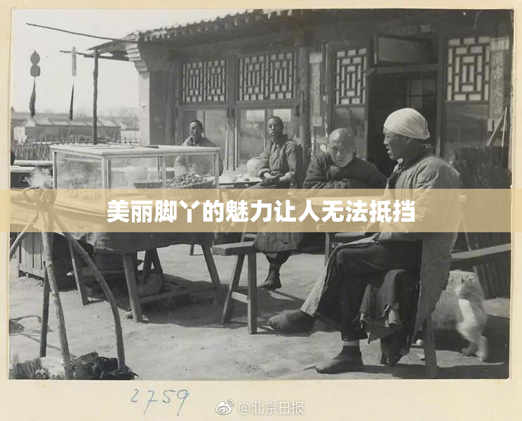 美丽脚丫的魅力让人无法抵挡