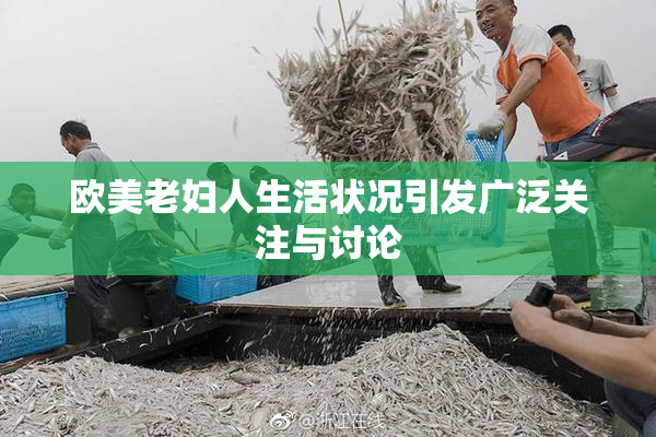 欧美老妇人生活状况引发广泛关注与讨论