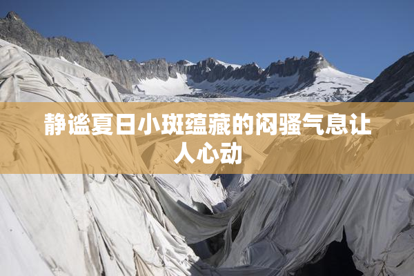 静谧夏日小斑蕴藏的闷骚气息让人心动