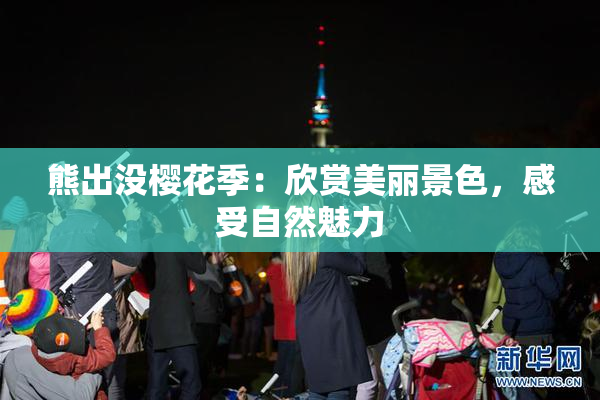 熊出没樱花季：欣赏美丽景色，感受自然魅力