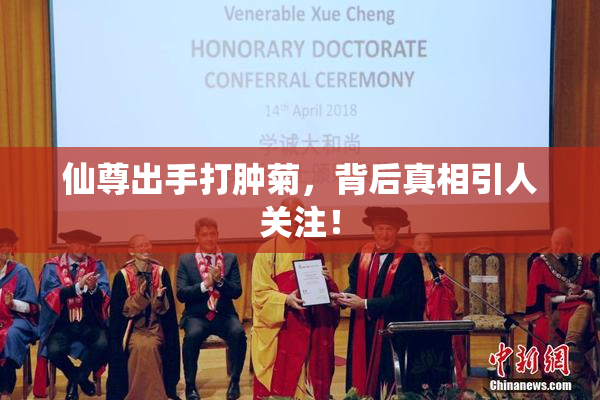 仙尊出手打肿菊，背后真相引人关注！