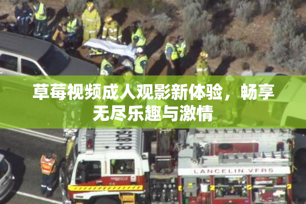 草莓视频成人观影新体验，畅享无尽乐趣与激情