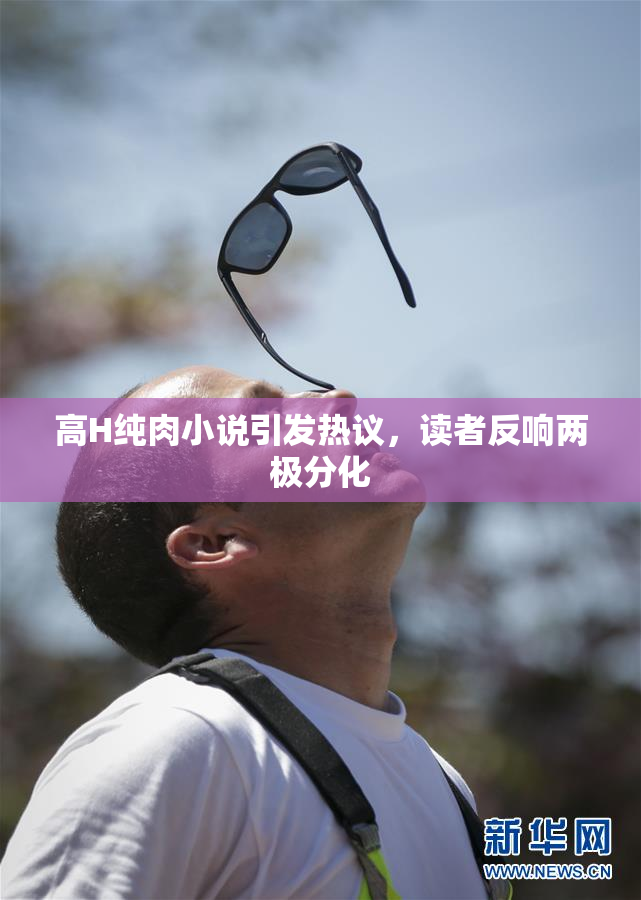 高H纯肉小说引发热议，读者反响两极分化