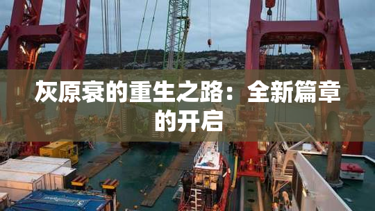 灰原衰的重生之路：全新篇章的开启