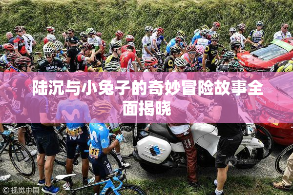 陆沉与小兔子的奇妙冒险故事全面揭晓