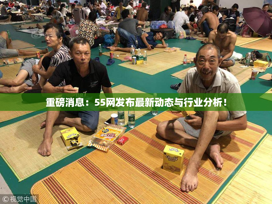 重磅消息：55网发布最新动态与行业分析！