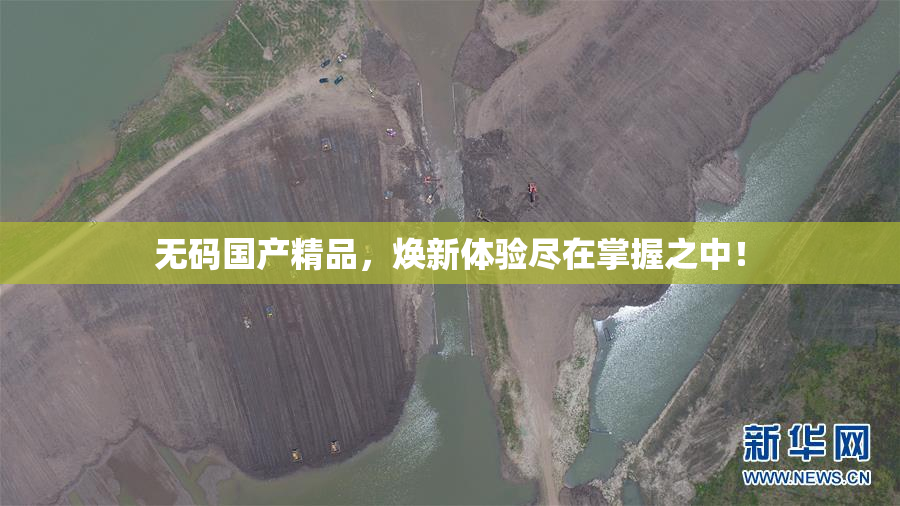 无码国产精品，焕新体验尽在掌握之中！
