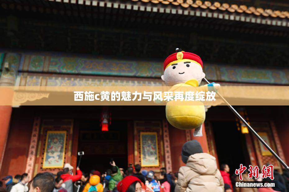 西施c黄的魅力与风采再度绽放