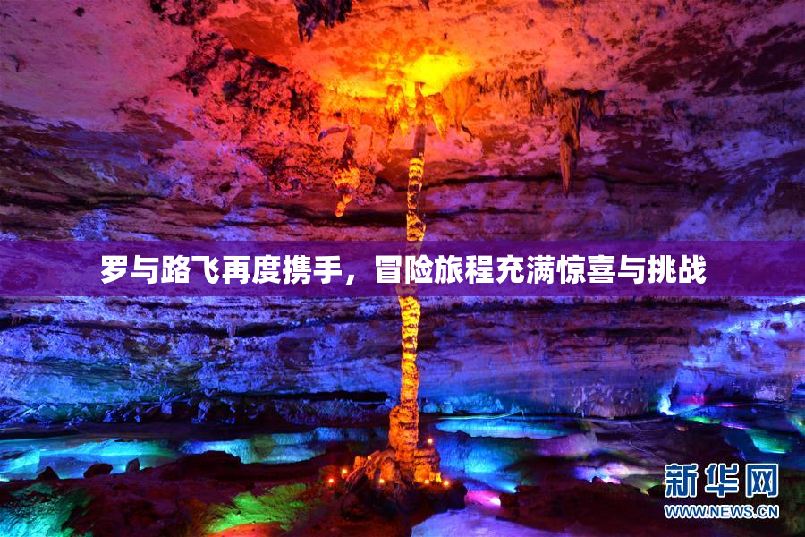 罗与路飞再度携手，冒险旅程充满惊喜与挑战