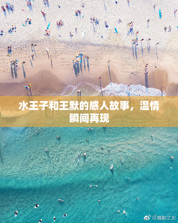 水王子和王默的感人故事，温情瞬间再现