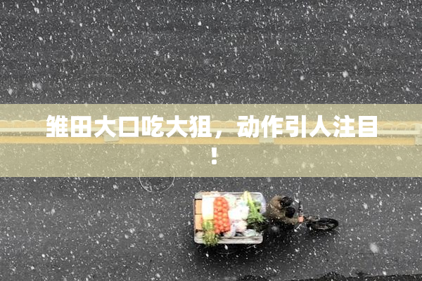 雏田大口吃大狙，动作引人注目！