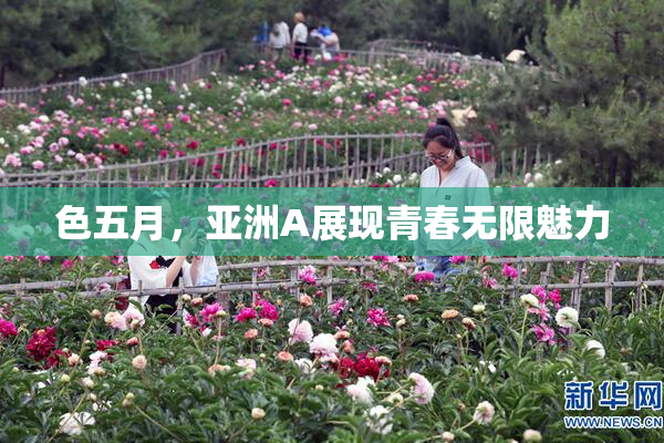 色五月，亚洲A展现青春无限魅力