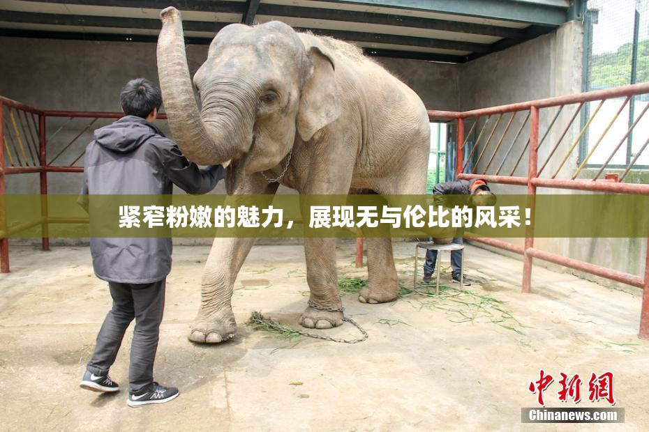紧窄粉嫩的魅力，展现无与伦比的风采！