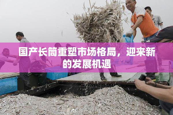 国产长筒重塑市场格局，迎来新的发展机遇