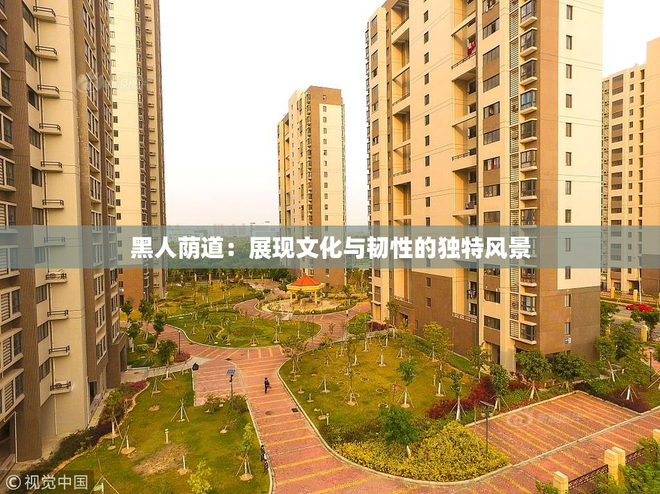 黑人荫道：展现文化与韧性的独特风景