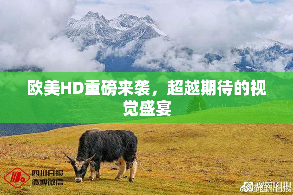欧美HD重磅来袭，超越期待的视觉盛宴