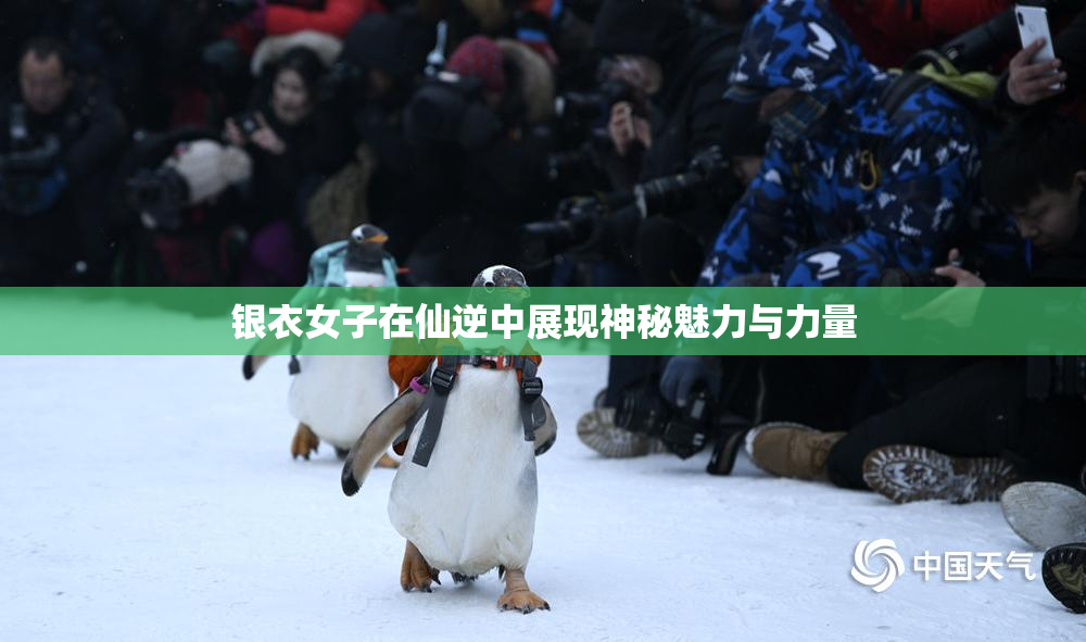 银衣女子在仙逆中展现神秘魅力与力量