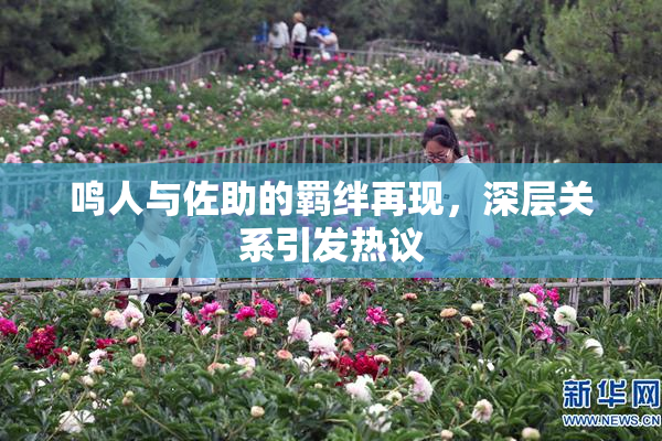 鸣人与佐助的羁绊再现，深层关系引发热议