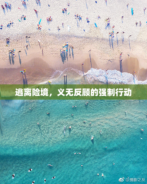 逃离险境，义无反顾的强制行动