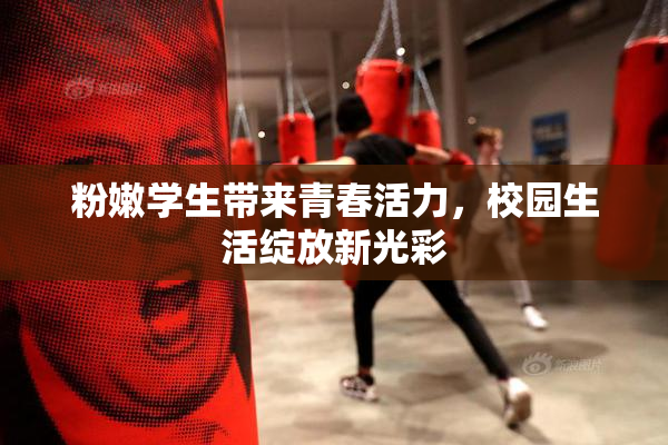 粉嫩学生带来青春活力，校园生活绽放新光彩