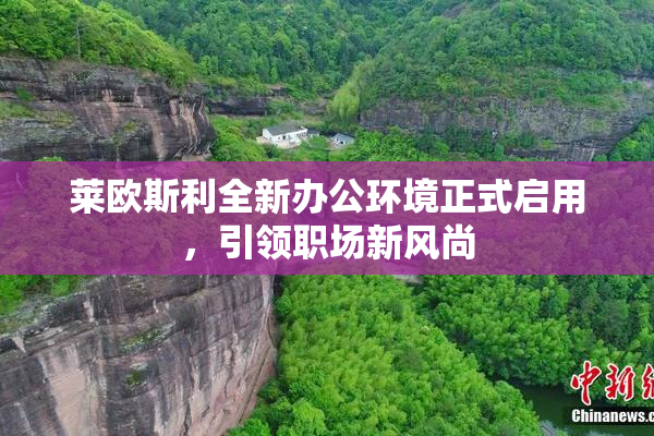莱欧斯利全新办公环境正式启用，引领职场新风尚